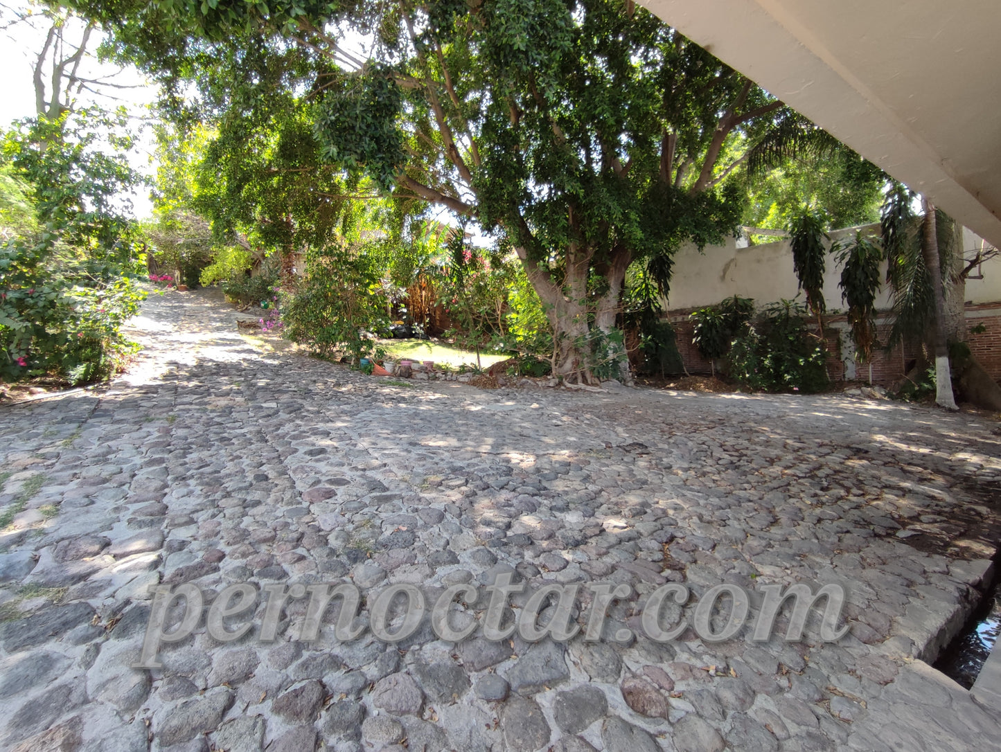 Quinta Virginia