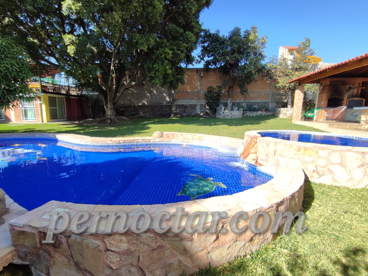 Limón