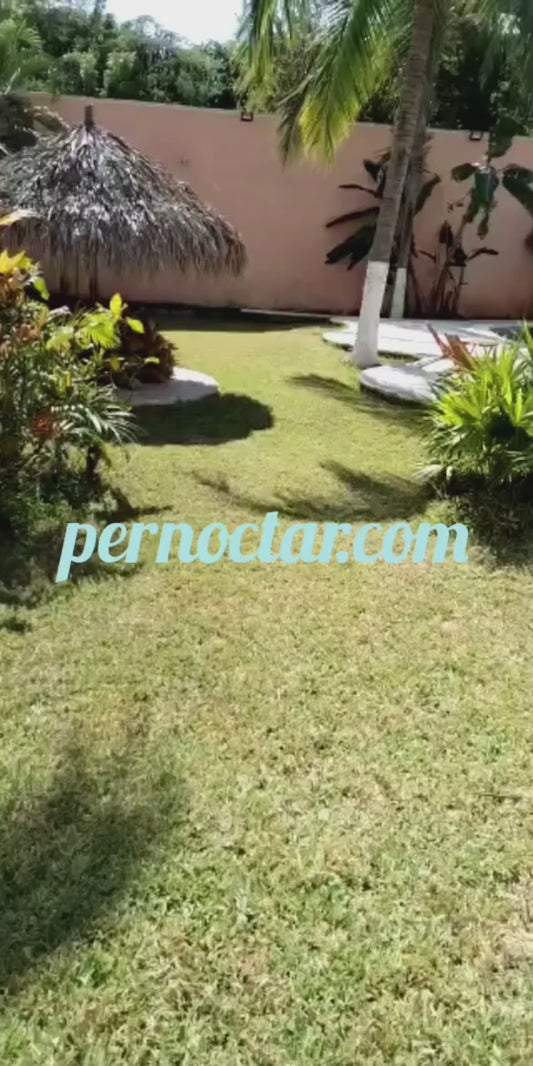 Villas Naty